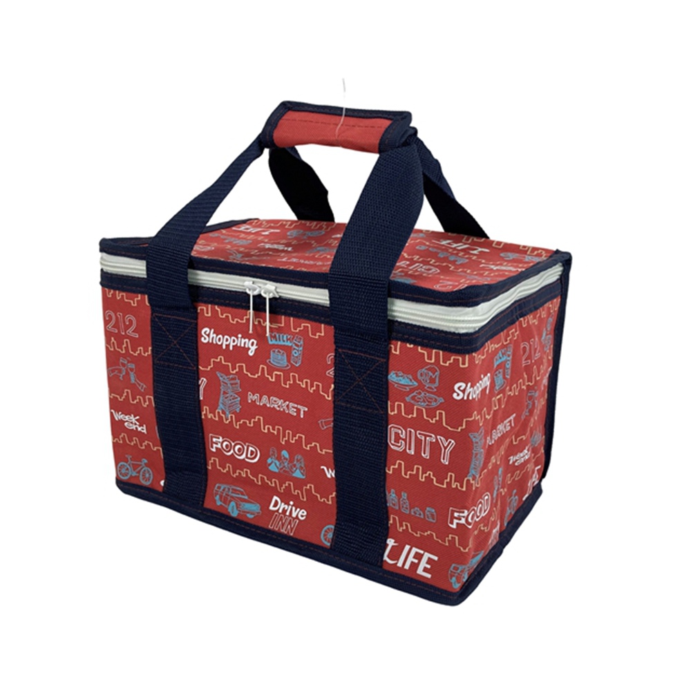 Lunch Cooler Bag